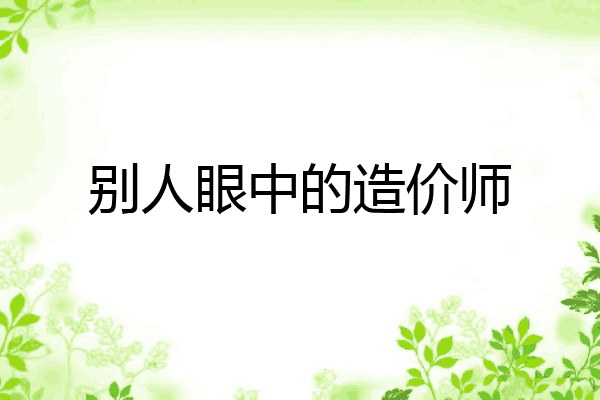 别人眼中的造价师