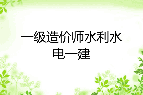 一级造价师水利水电一建