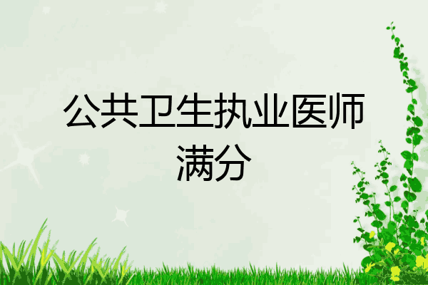 公共卫生执业医师满分