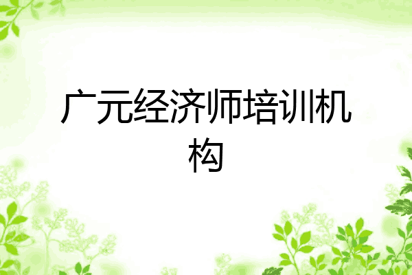 广元经济师培训机构
