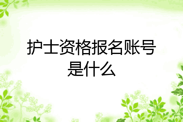 护士资格报名账号是什么