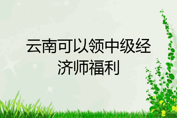 云南可以领中级经济师福利