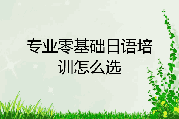 专业零基础日语培训怎么选