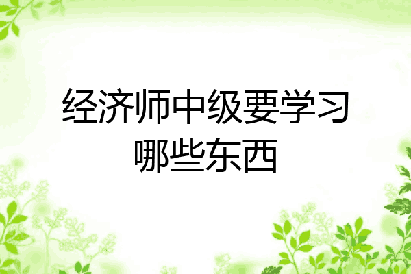 经济师中级要学习哪些东西