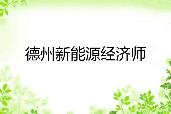 德州新能源经济师