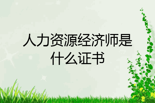 人力资源经济师是什么证书