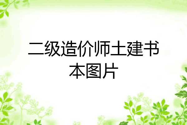 二级造价师土建书本图片
