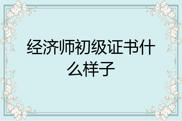 经济师初级证书什么样子