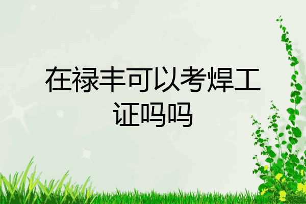 在禄丰可以考焊工证吗吗