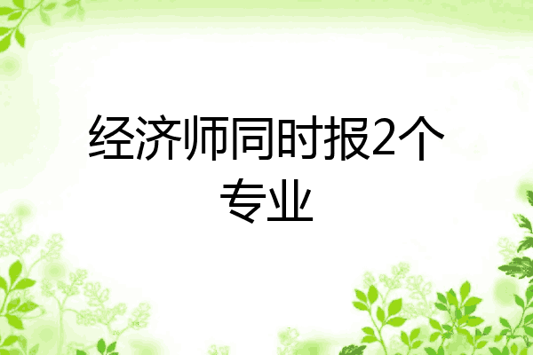 经济师同时报2个专业