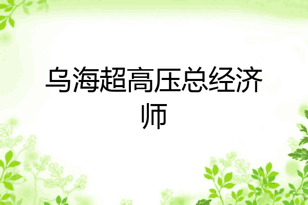 乌海超高压总经济师
