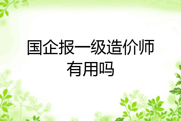 国企报一级造价师有用吗