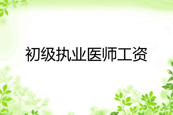 初级执业医师工资
