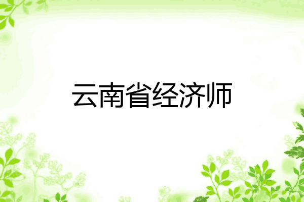云南省经济师