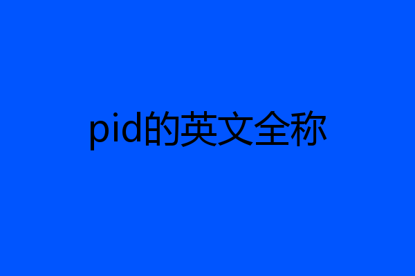 pid的英文全称