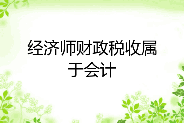 经济师财政税收属于会计
