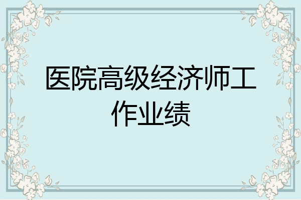 医院高级经济师工作业绩