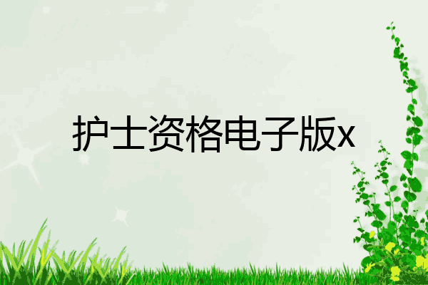 护士资格电子版x