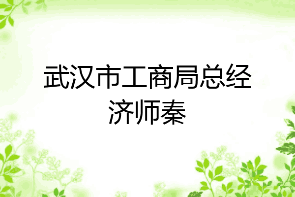 武汉市工商局总经济师秦