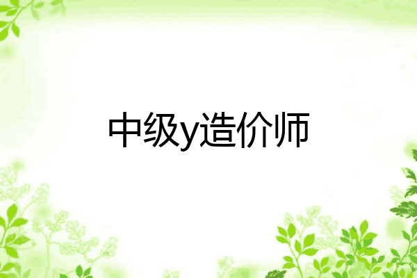 中级y造价师