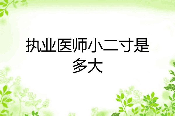 执业医师小二寸是多大