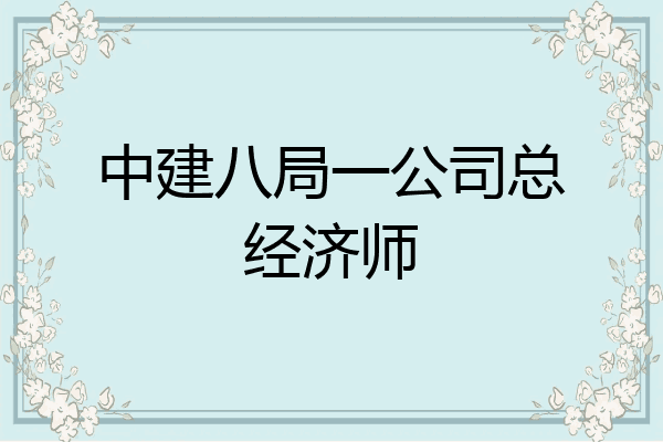 中建八局一公司总经济师