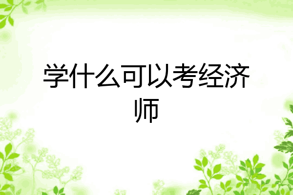 学什么可以考经济师
