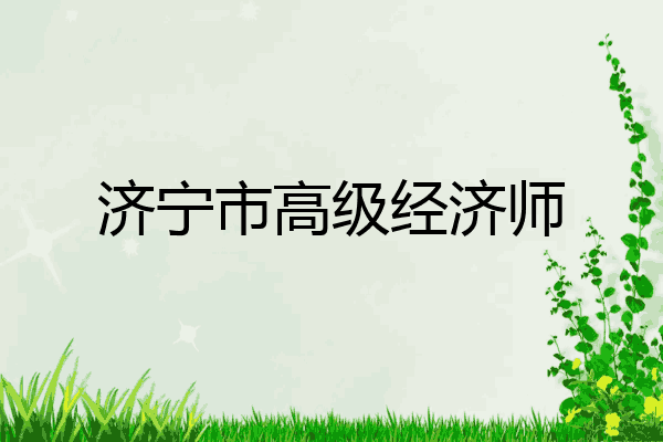 济宁市高级经济师