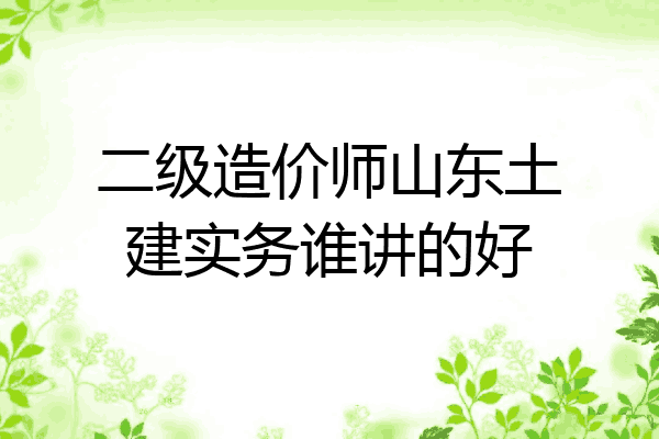 二级造价师山东土建实务谁讲的好