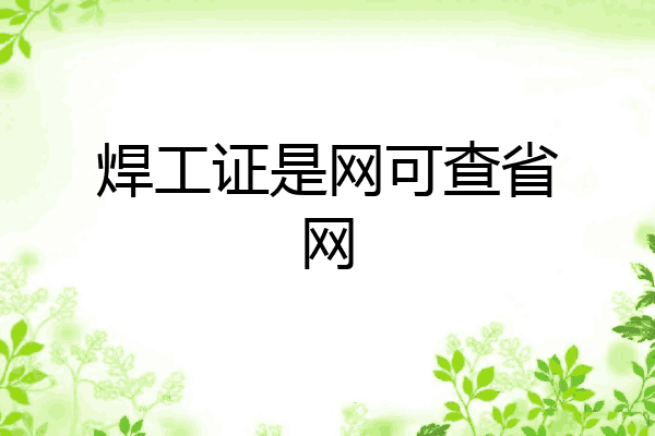 焊工证是网可查省网