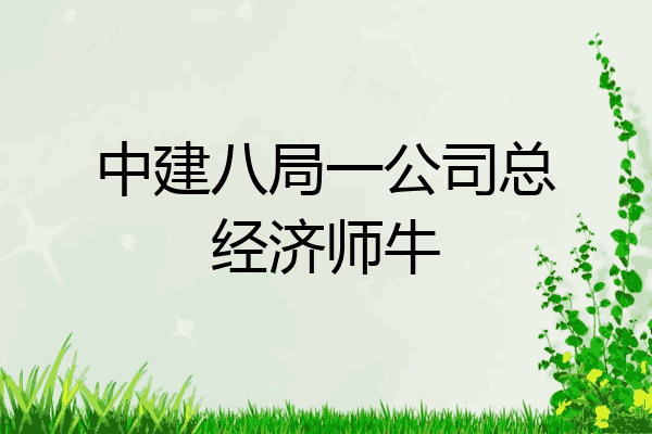 中建八局一公司总经济师牛