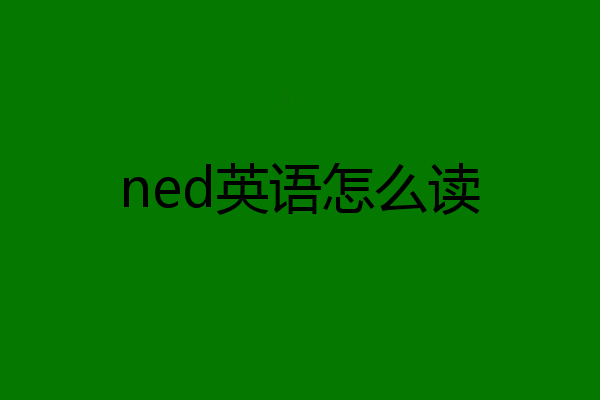 ned英语怎么读