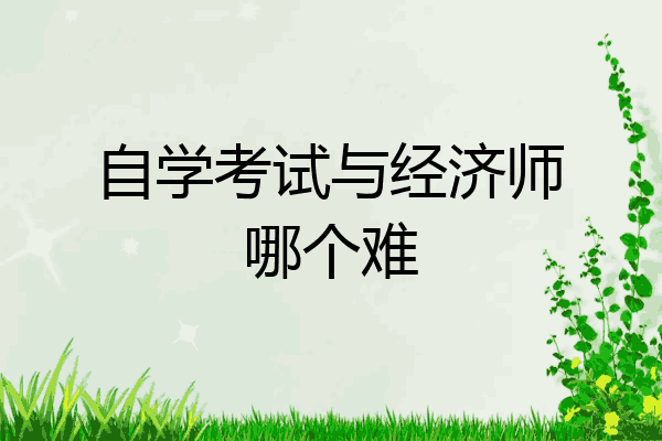 自学考试与经济师哪个难