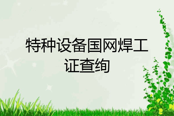 特种设备国网焊工证查绚