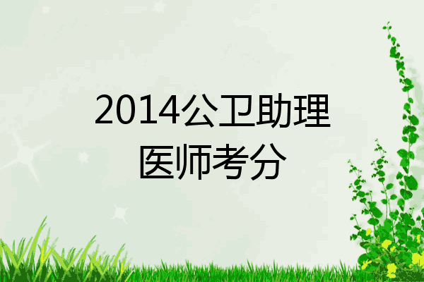 2014公卫助理医师考分