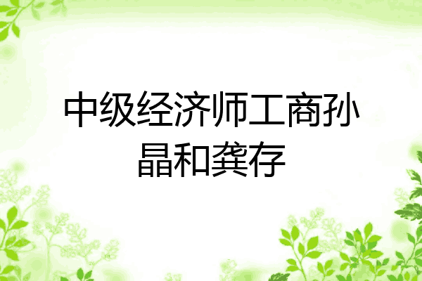 中级经济师工商孙晶和龚存