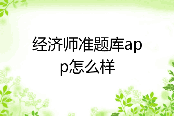 经济师准题库app怎么样