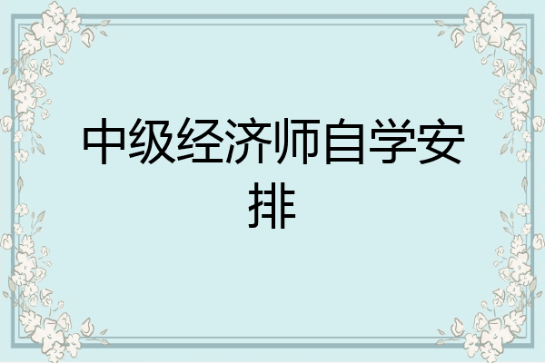 中级经济师自学安排