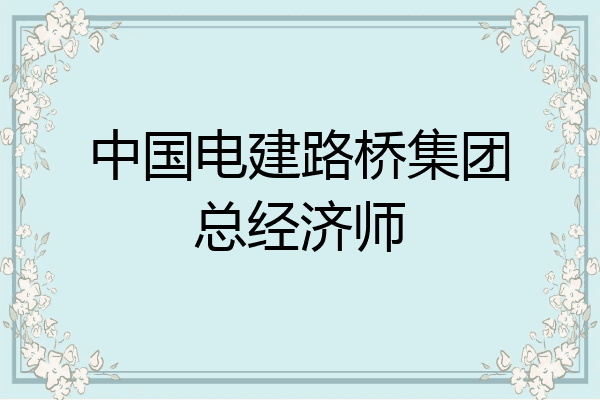 中国电建路桥集团总经济师