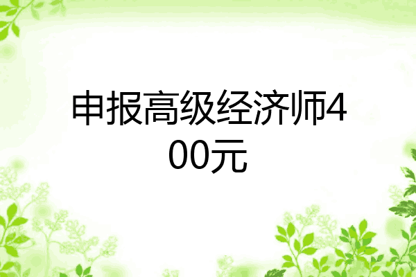 申报高级经济师400元