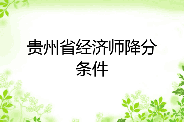贵州省经济师降分条件