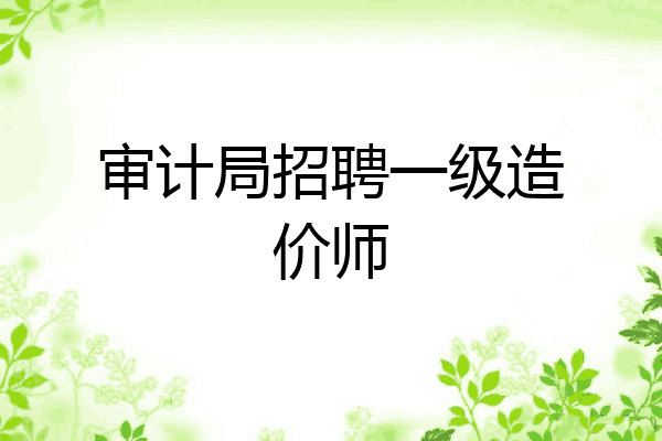审计局招聘一级造价师