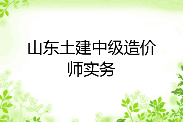 山东土建中级造价师实务