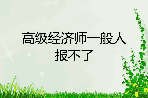 高级经济师一般人报不了