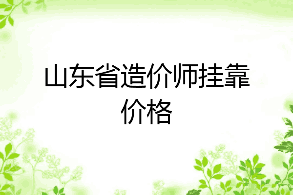 山东省造价师挂靠价格