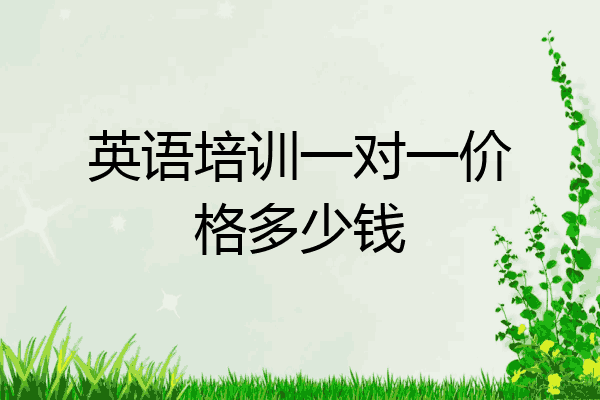 英语培训一对一价格多少钱