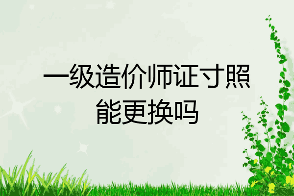 一级造价师证寸照能更换吗