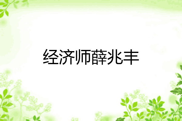 经济师薛兆丰