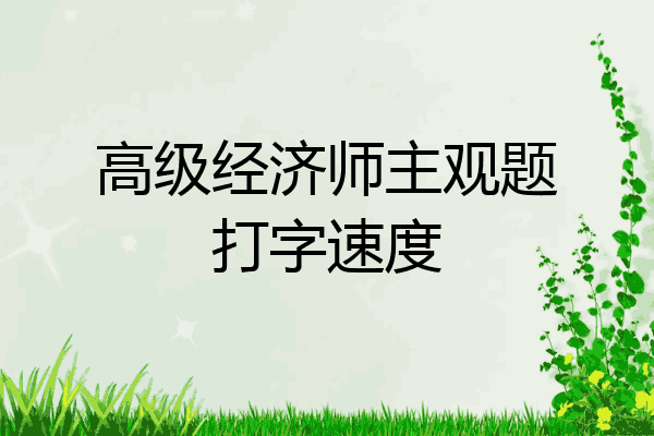 高级经济师主观题打字速度