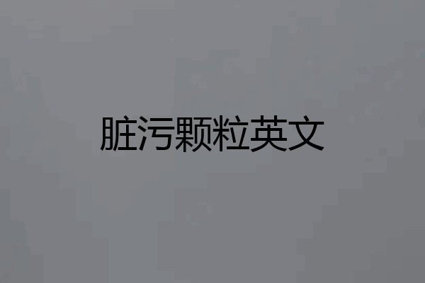 脏污颗粒英文